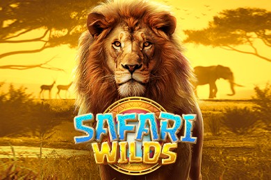 Safariwilds игровой автомат Хайп Казино